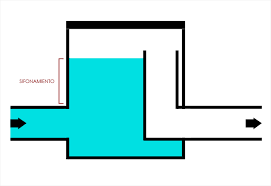 sifonico 1