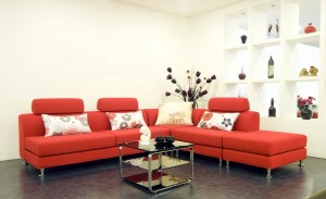 Modern living room sofa